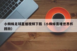 小蜘蛛足球直播视频下载（小蜘蛛直播世界杯回放）